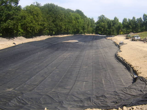 Firestone Pond Liner